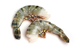Crustaceans
